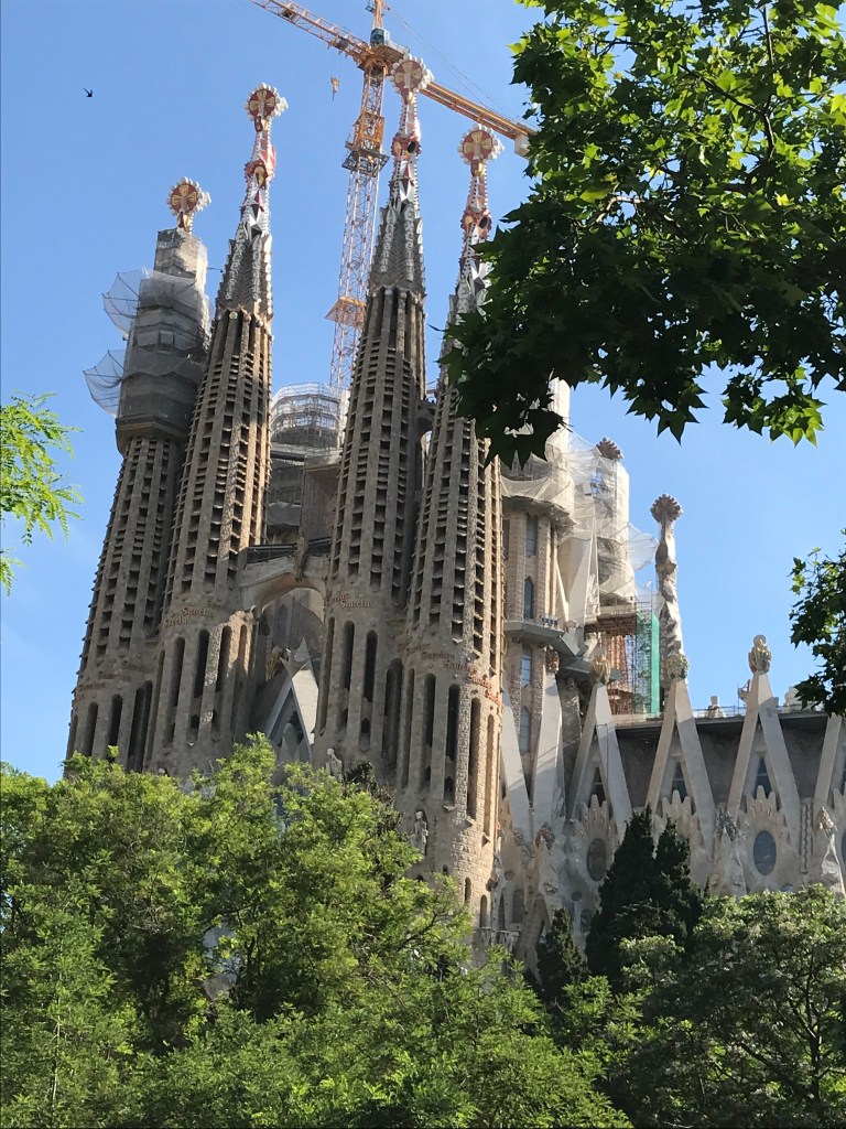 4F49F92F-B526-4A36-9F7F-3358C983388D